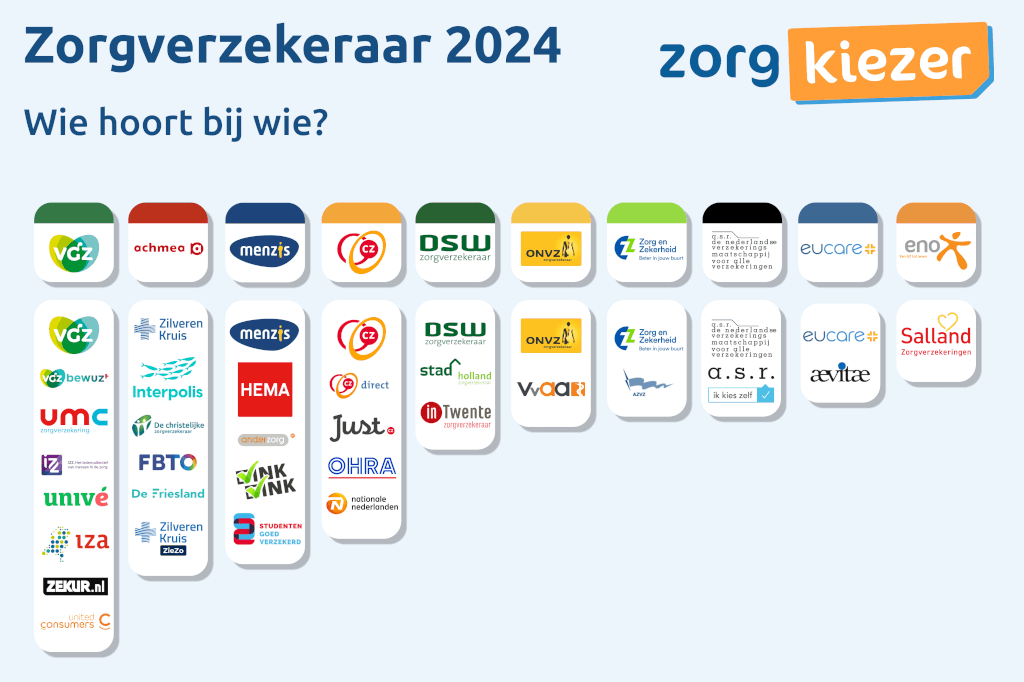 Zorgverzekeraars marktaandeel Infographic 2025